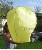 gelb1-large.jpg